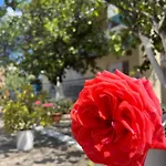 فندق Portokali *